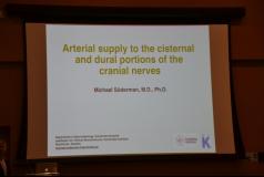 WFITN Anatomy Course, Sao Paulo, 2016